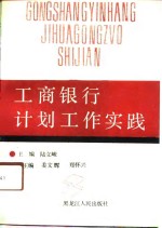 工商银行计划工作实践