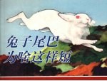 兔子尾巴为啥这样<em>短</em>