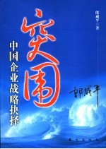 突围  中国企业战略抉择