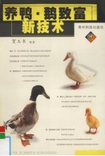 养鸭、鹅致富新<em>技术</em>