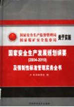 国家安全生产发展规划纲要及强制性标准管理实务全书  第1卷