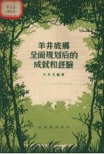 <em>羊</em>井底乡全面规划后的成就和经验