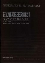 煤矿<em>技术</em>大百科  安全生产<em>技术</em>卷  下