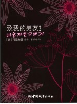 致我<em>的</em>男友  3