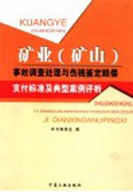 矿业  矿山  事故调查处理与伤残鉴定赔偿支付标准及典型案例评析  第3卷