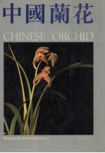 中国兰花  图集  2