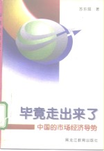 毕竟走出来了  中国的市场经济导势