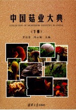 中国菇业大典  下