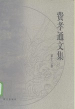 费<em>孝通</em>文集  第12卷  1990-1993