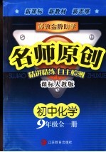 苏教金牌助学·名师<em>原创</em>  课标人教版  初中化学  九年级