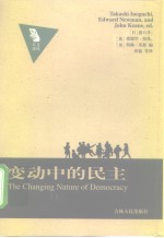 人文译丛 变动中的民主