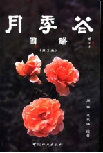 月季花图谱  第2集