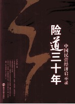 险道三十年  中国民营经济启示录