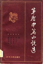 <em>茅盾</em>中篇小说选