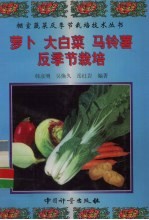 萝卜  大<em>白菜</em>  马铃薯反季节栽培
