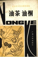 油茶  油桐