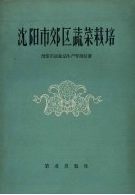 <em><em>沈阳</em>市</em>郊区蔬菜栽培