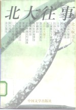 北大往事  1977-1997