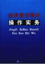 经济责任<em>审计</em>操作实务