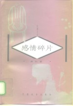 感情碎片