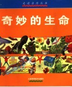 奇妙的生命  图集
