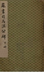 苏书<em>司马</em><em>温</em>公碑  下