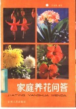 家庭养花问答