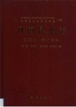 双翅目  舞虻总科
