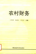 农村财务