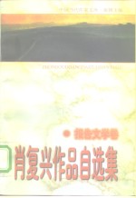 肖复兴<em>作品</em>自<em>选集</em>  报告文学<em>卷</em>