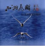 心羽飞翔  段文科盘景湿地鸟类<em>摄</em>影