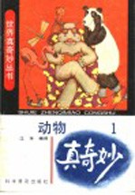 动物真奇妙  1