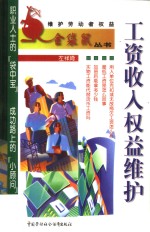 工资收入权益维护