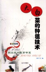 大<em>白菜</em>的种植技术