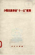 少数民族事业“<em>十<em>一五</em></em>”规划