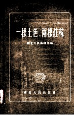一样土色，两样庄稼  短篇小说选集