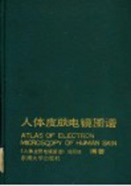 <em>人体</em>皮肤电镜图谱