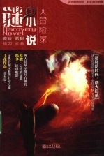 谜小说  3  大冒险家