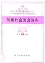 侗族社会历史调查