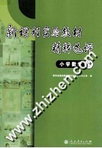 新课程实验教材精粹选评  小学数学卷