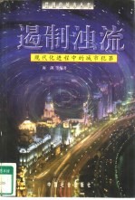遏制浊流  现代化进程中的城市犯罪