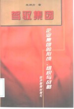 驾驭集团  企业集团的形成、组织与战略