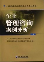 企业管理咨询案例分析  上