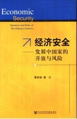 经济安全  发展中国家的开发与风险