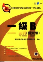 全国计算机等级考试四合一过关训练  一级B  新大纲