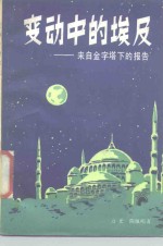 变动中的埃及  来自金字塔下的报告