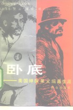 卧底  美国神探莱文缉毒生涯