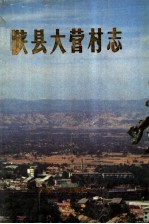 <em>陕县</em>大营村志