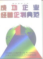 成功企业经营企划典范