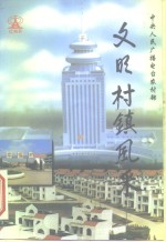 文明村镇风采
